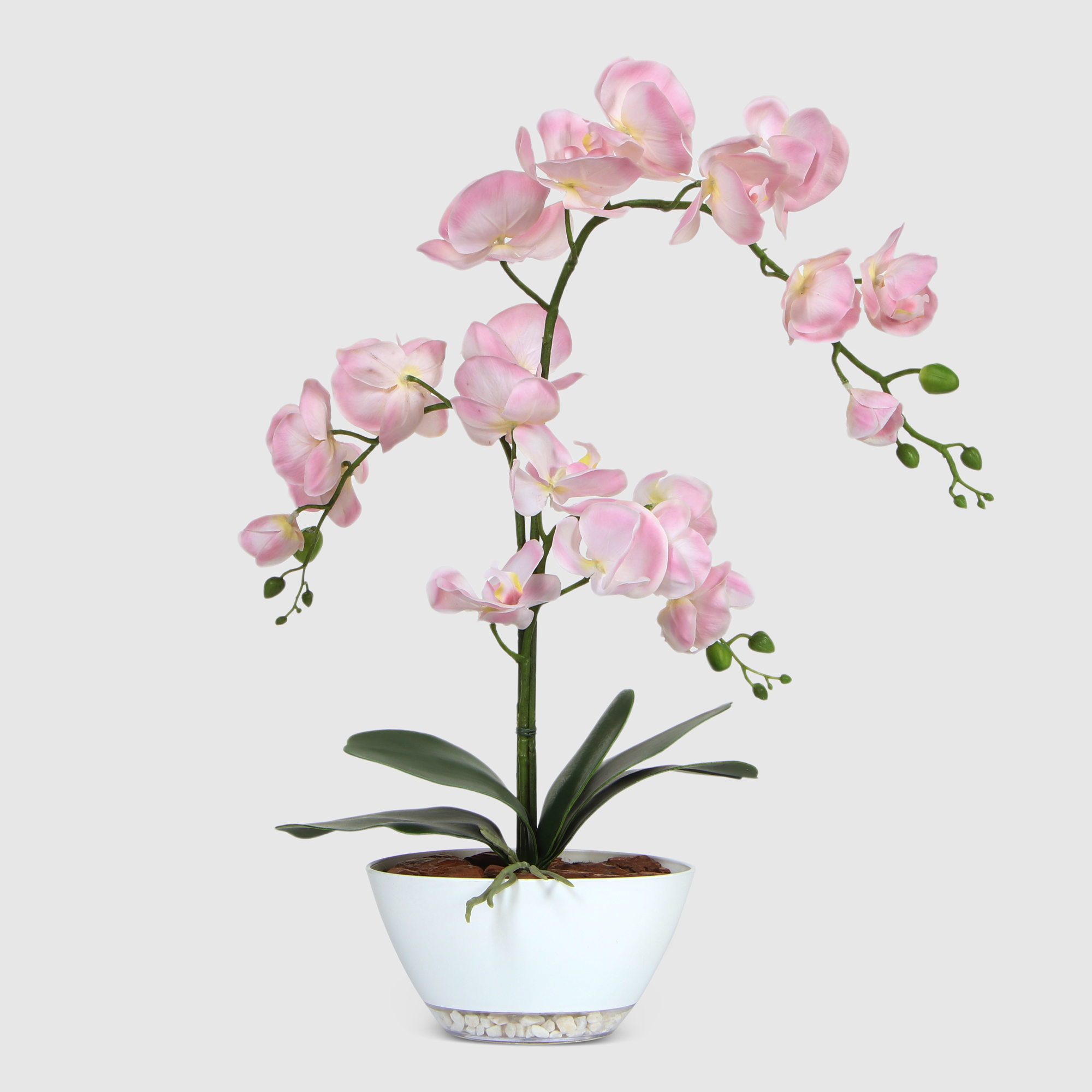 Орхидея Конэко-О нежно-розовая в белом кашпо лодочка 65 см