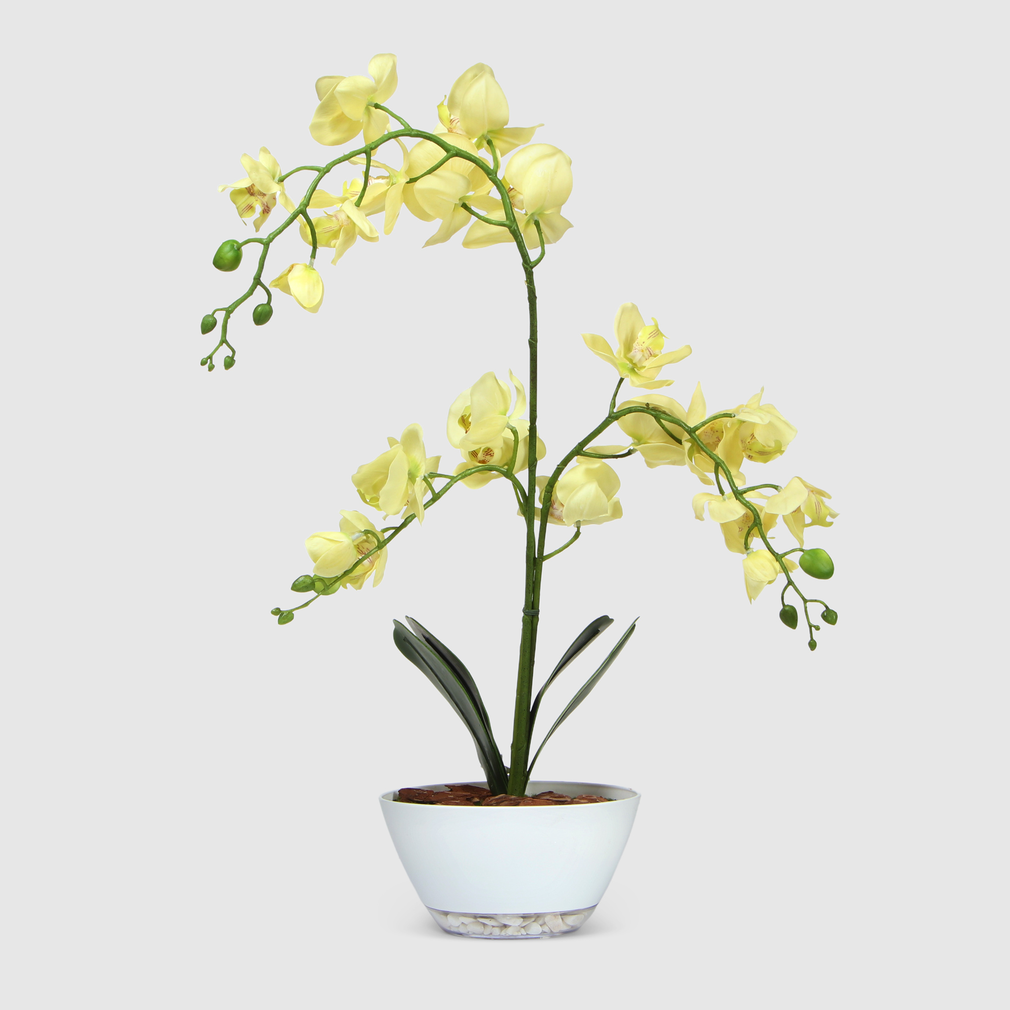 Орхидея Конэко-О желтая в кашпо лодочка 65 см