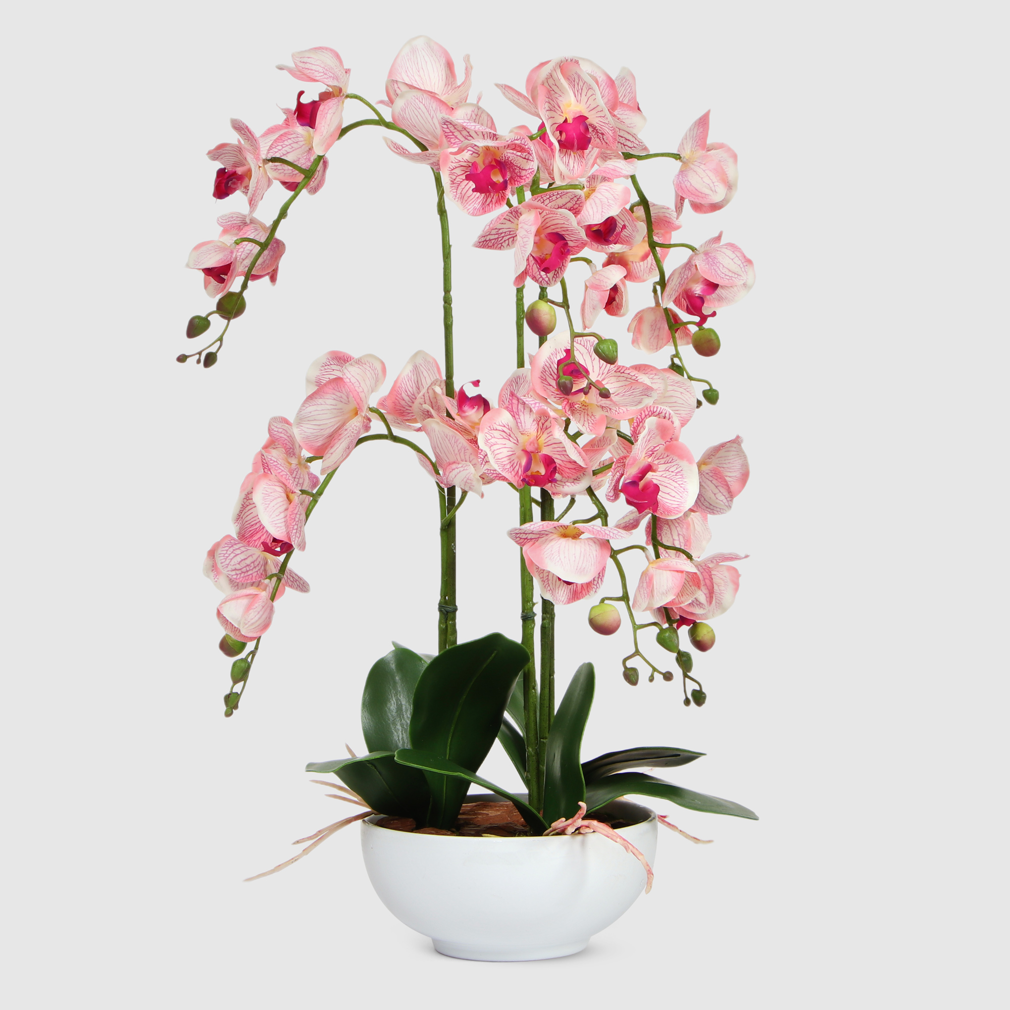 Орхидея Конэко-О 566_X6_10157 розовая в белом кашпо 60 см растение искусственное конэко о розовая магнолия в кашпо 57 см