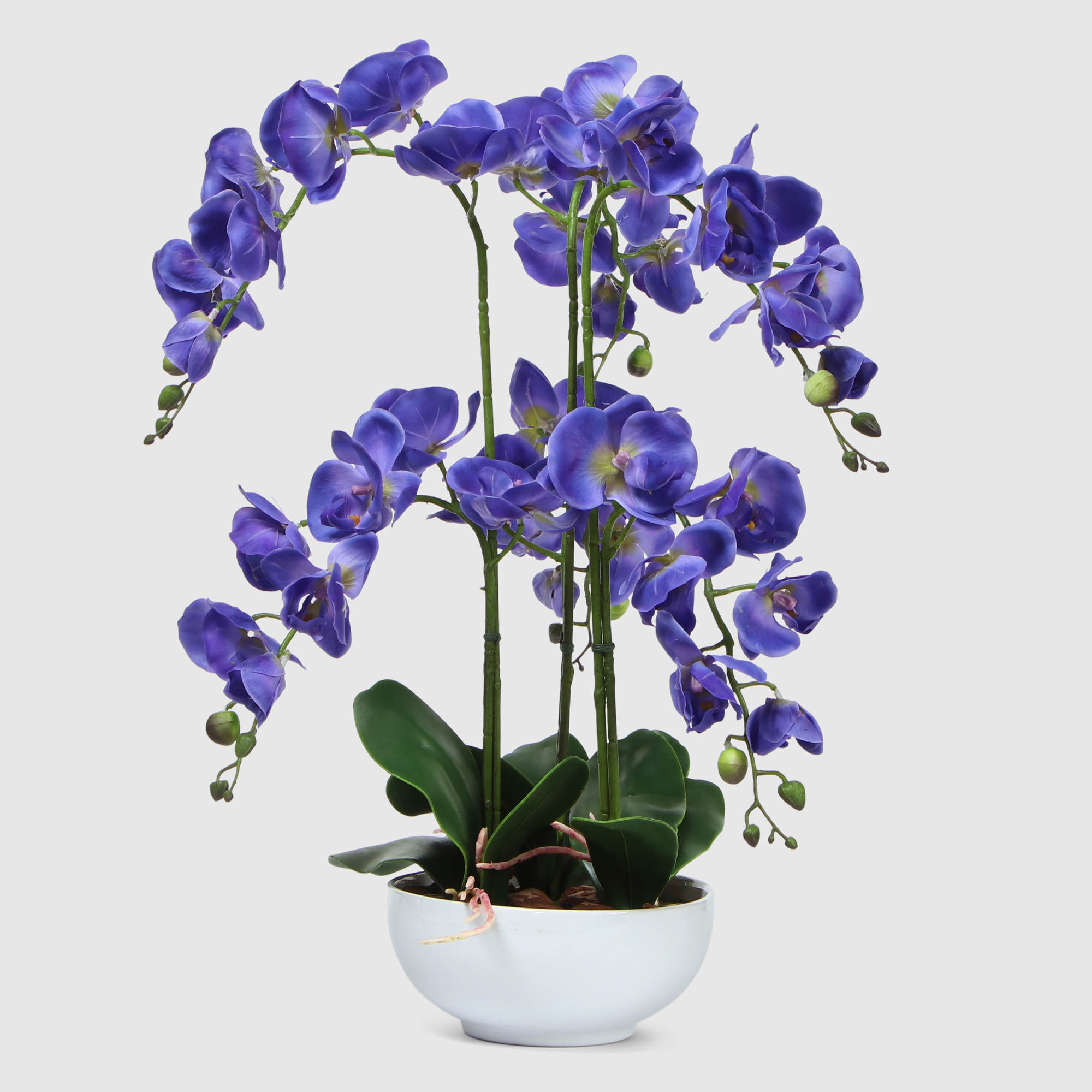 Орхидея Конэко-О 567_X6_10157 фиолетовая в белом кашпо 60 см орхидея фиолетовая конэко о высота 100 40 60 см