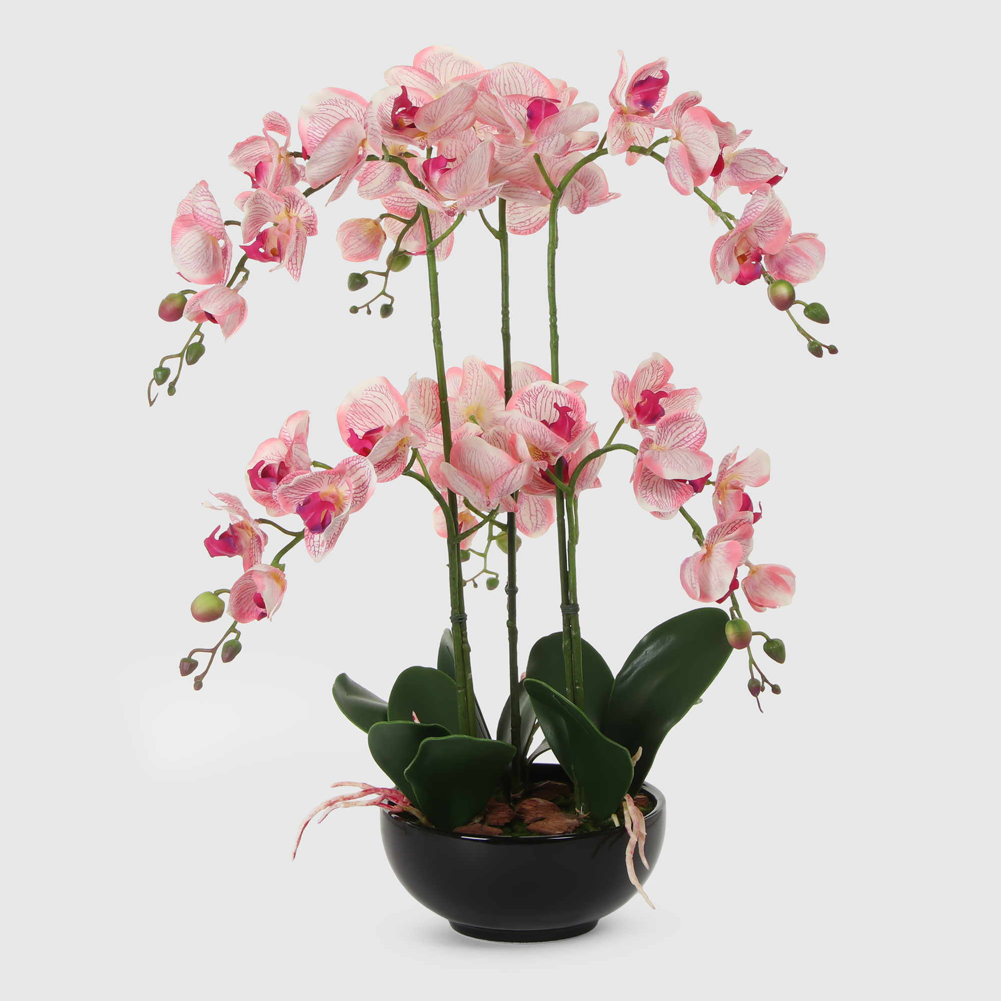 Орхидея Конэко-О розовая в черном кашпо лодочка 60 см растение искусственное конэко о розовая магнолия в кашпо 57 см