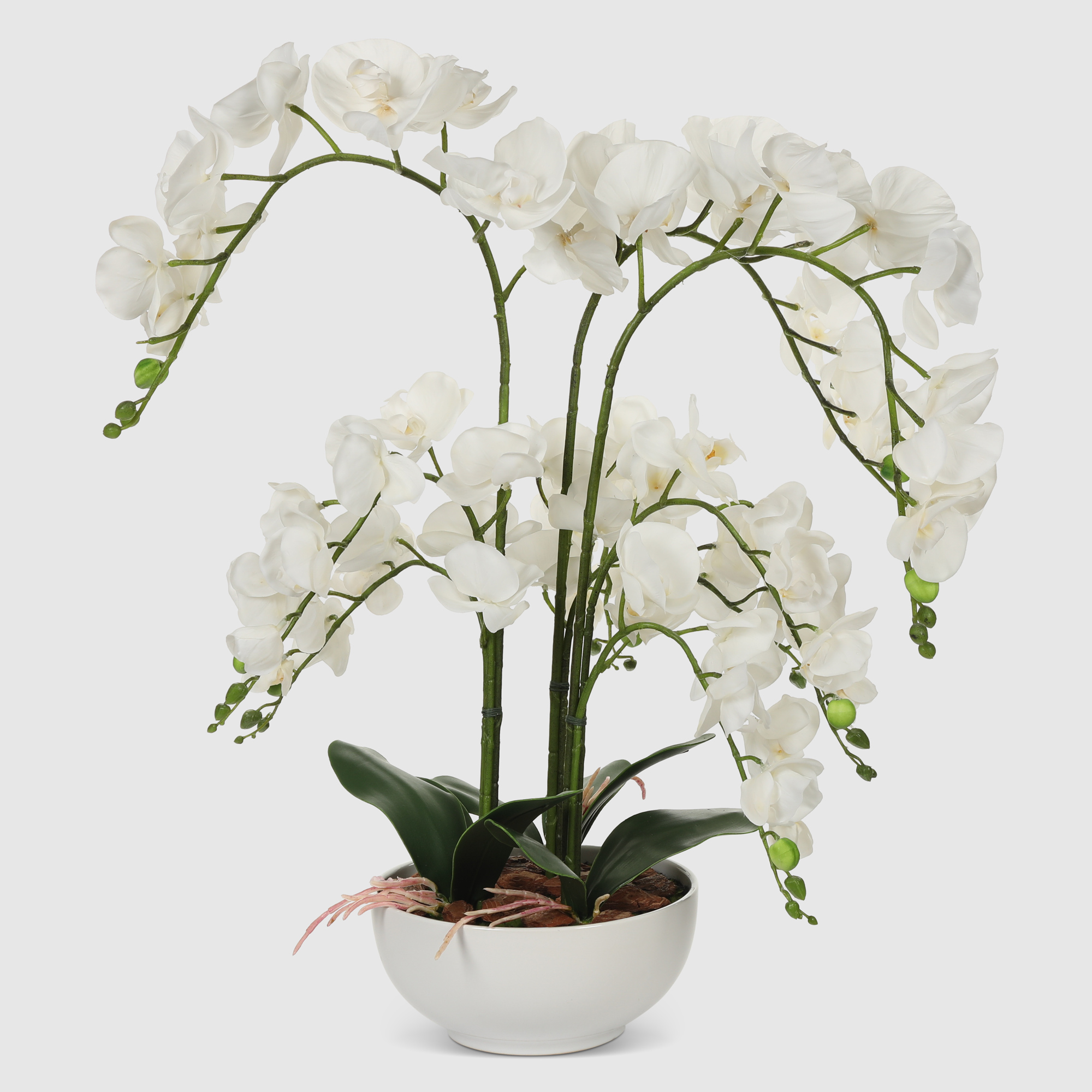 Орхидея Конэко-О 554_х6_657_x3 в белом кашпо 70 см, цвет белый