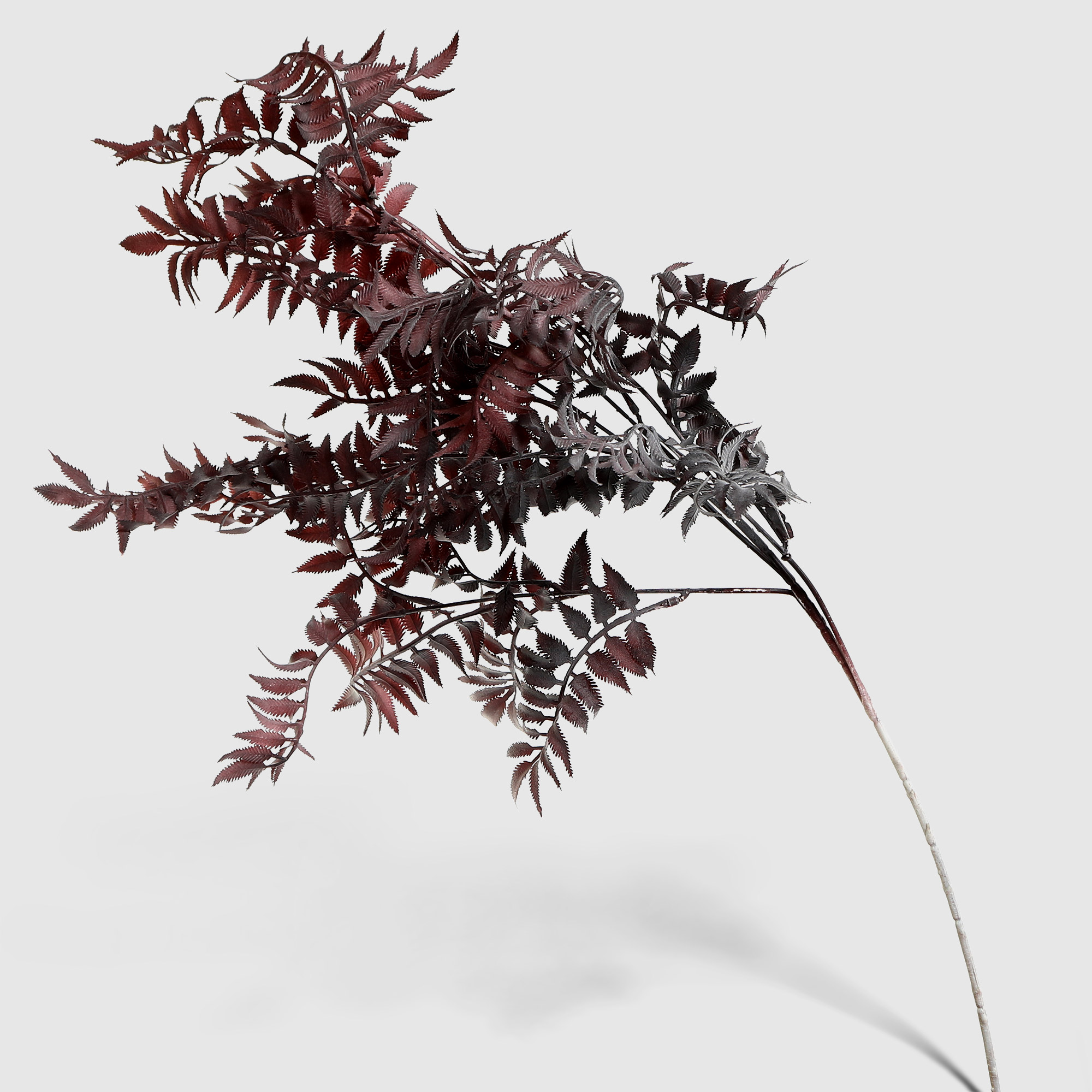 Ветвь Dekor pap декоративная 15х45 см, цвет бордовый