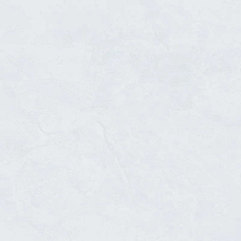 Керамогранит Foshan Ugonovaro Mainstream White 60X60 см Вид№3