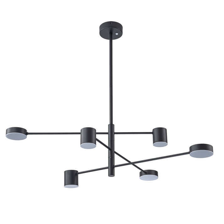 Светильник потолочный Arte Lamp A2476PL-40BK