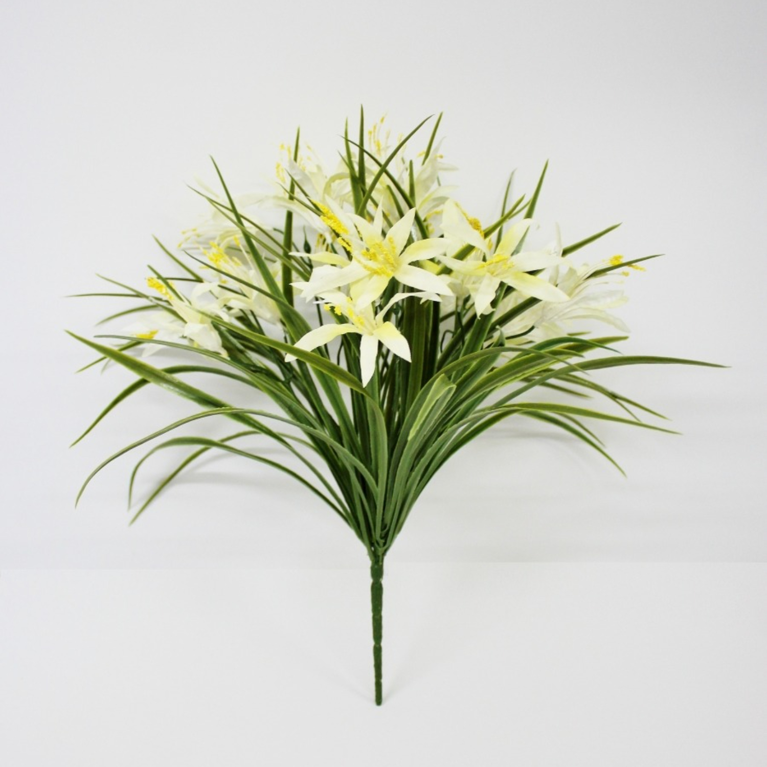 Лилейник искусственный Конэко-О белый