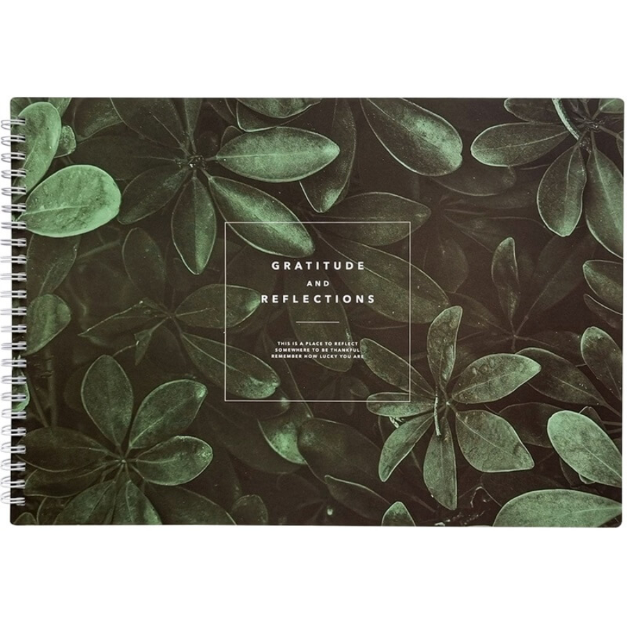 

Альбом для рисования, Be Smart, 299х210 мм, 40 л., мягкий переплет, спираль, бумага 120 г/м2. Коллекция "Botanica", листья