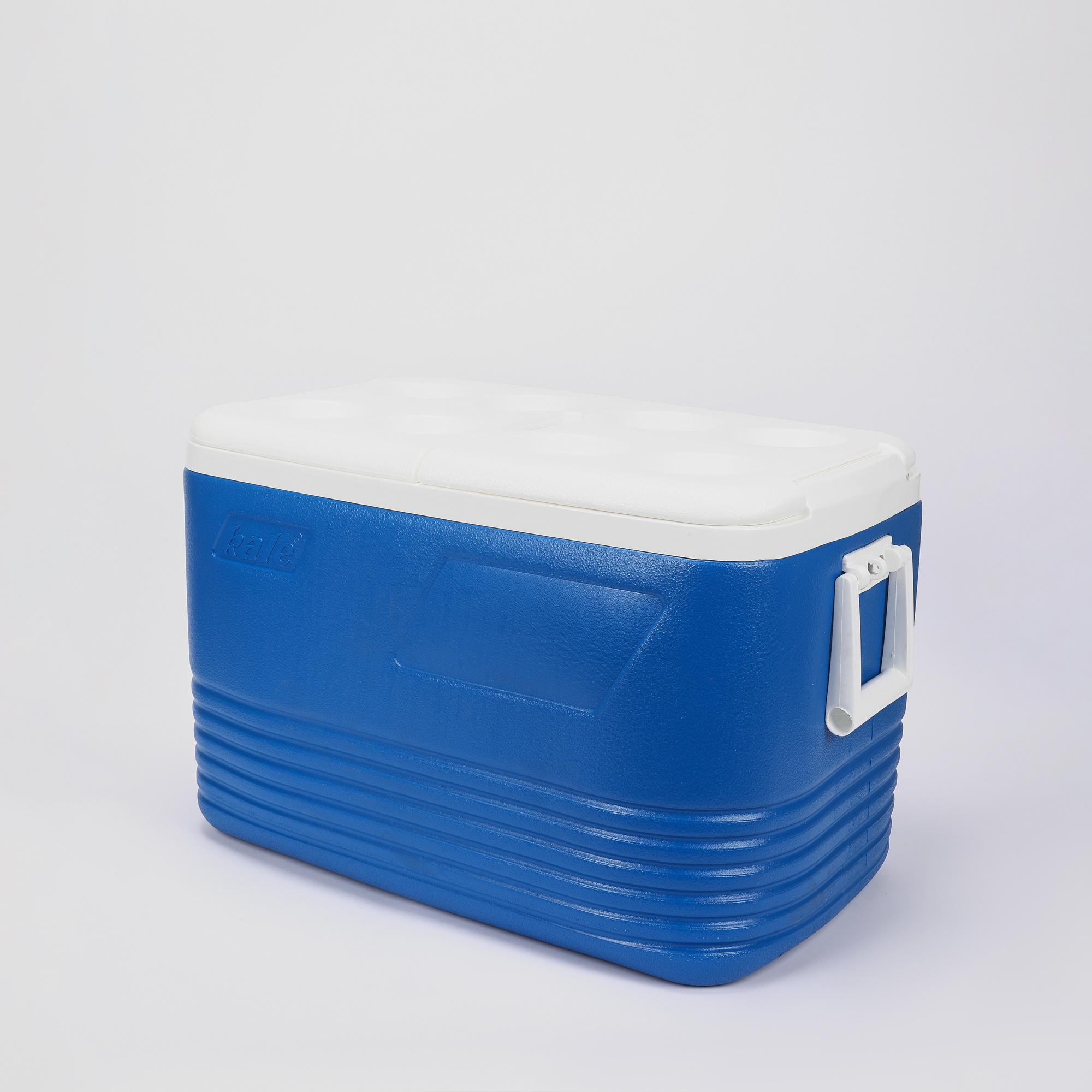 Контейнер холодильный Kale Termos 60лт