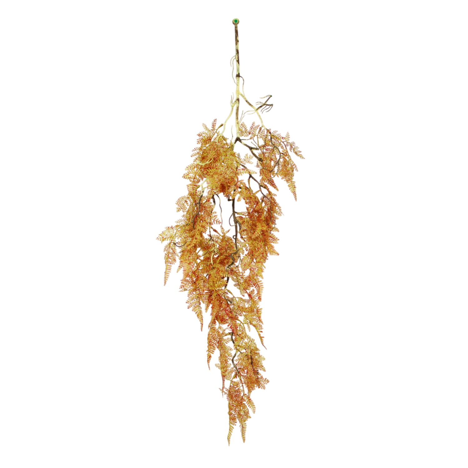 Папоротник подвесной Конэко-О оранжевый, длина 90 см