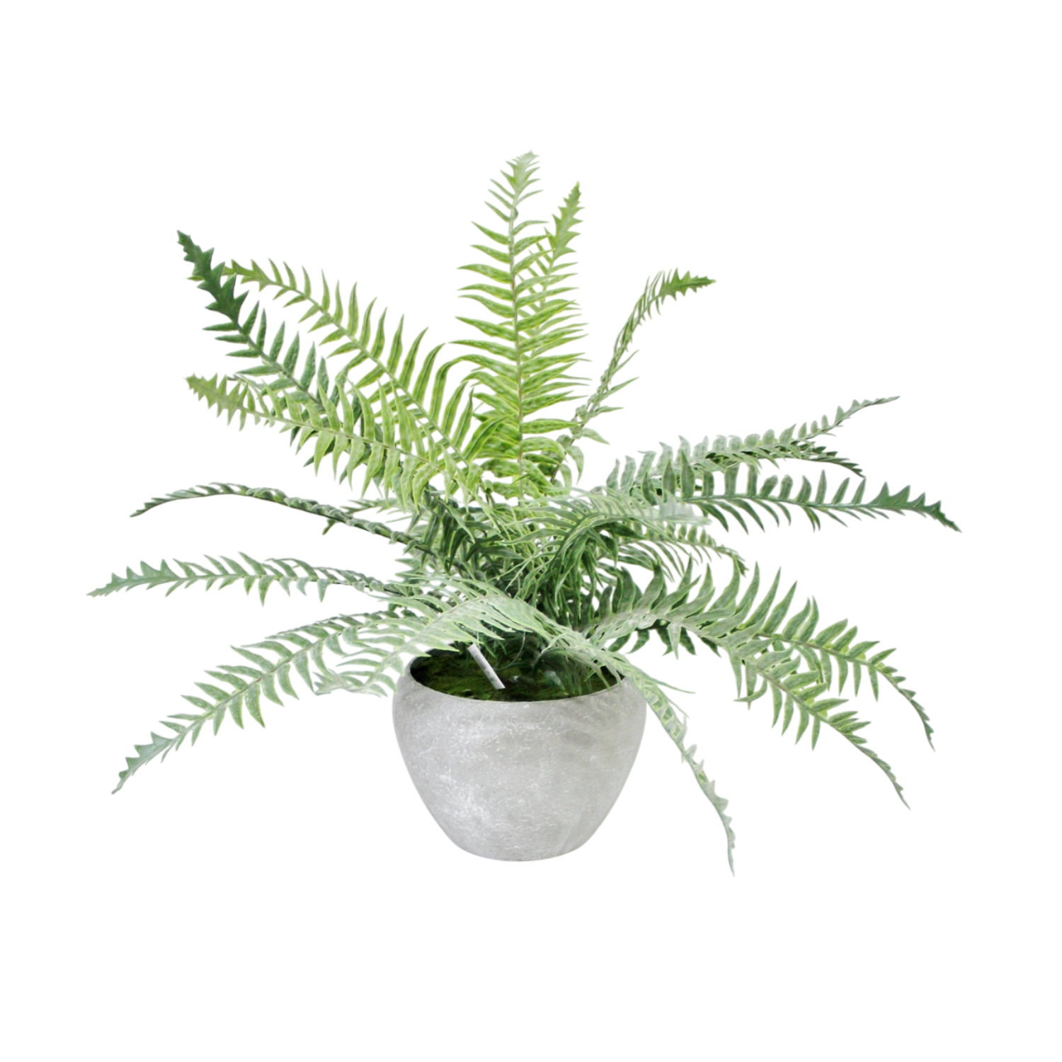 Папоротник искусственный Конэко-О в кашпо