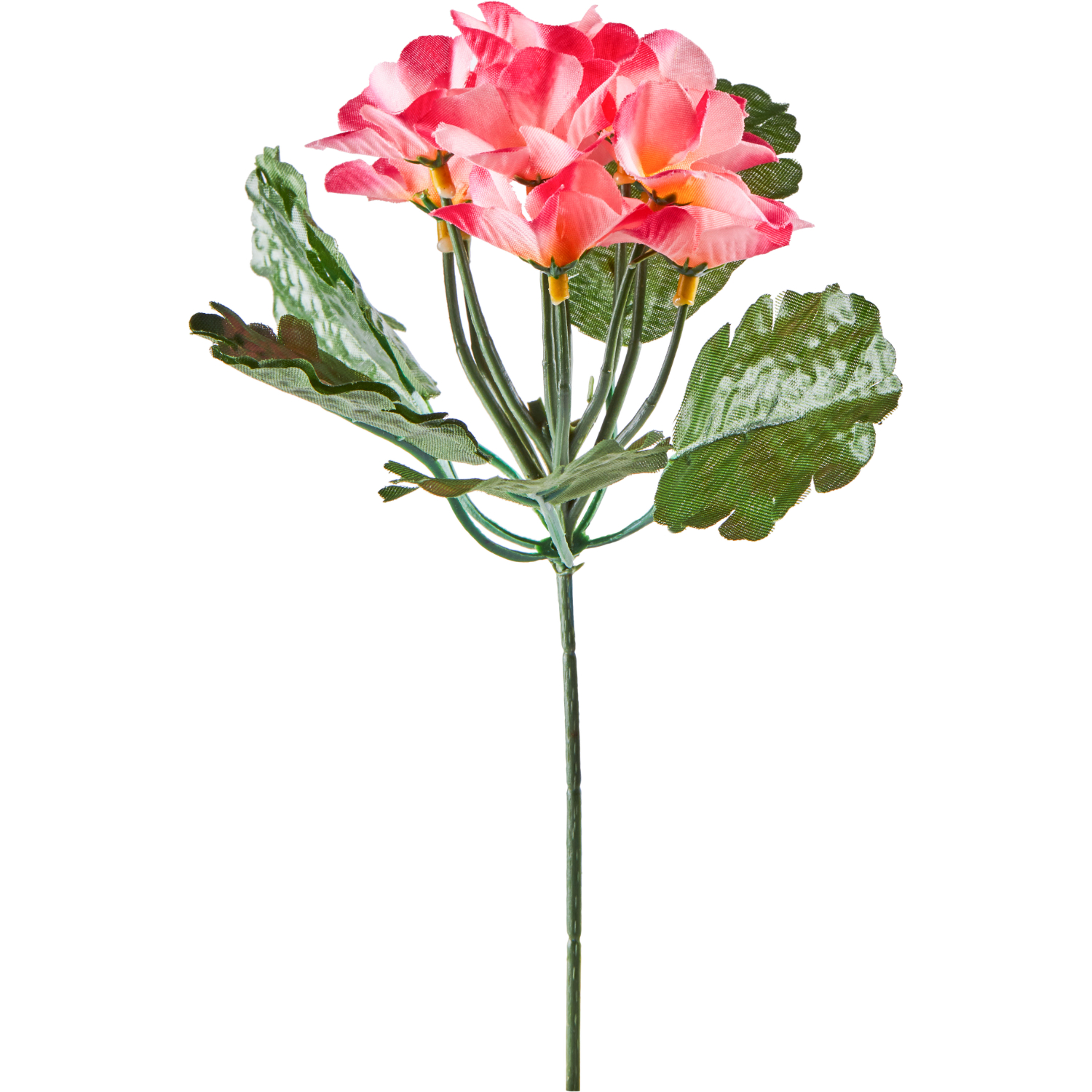 Букет ДОМАШНЯЯ КУХНЯ фиалка, в ассортименте