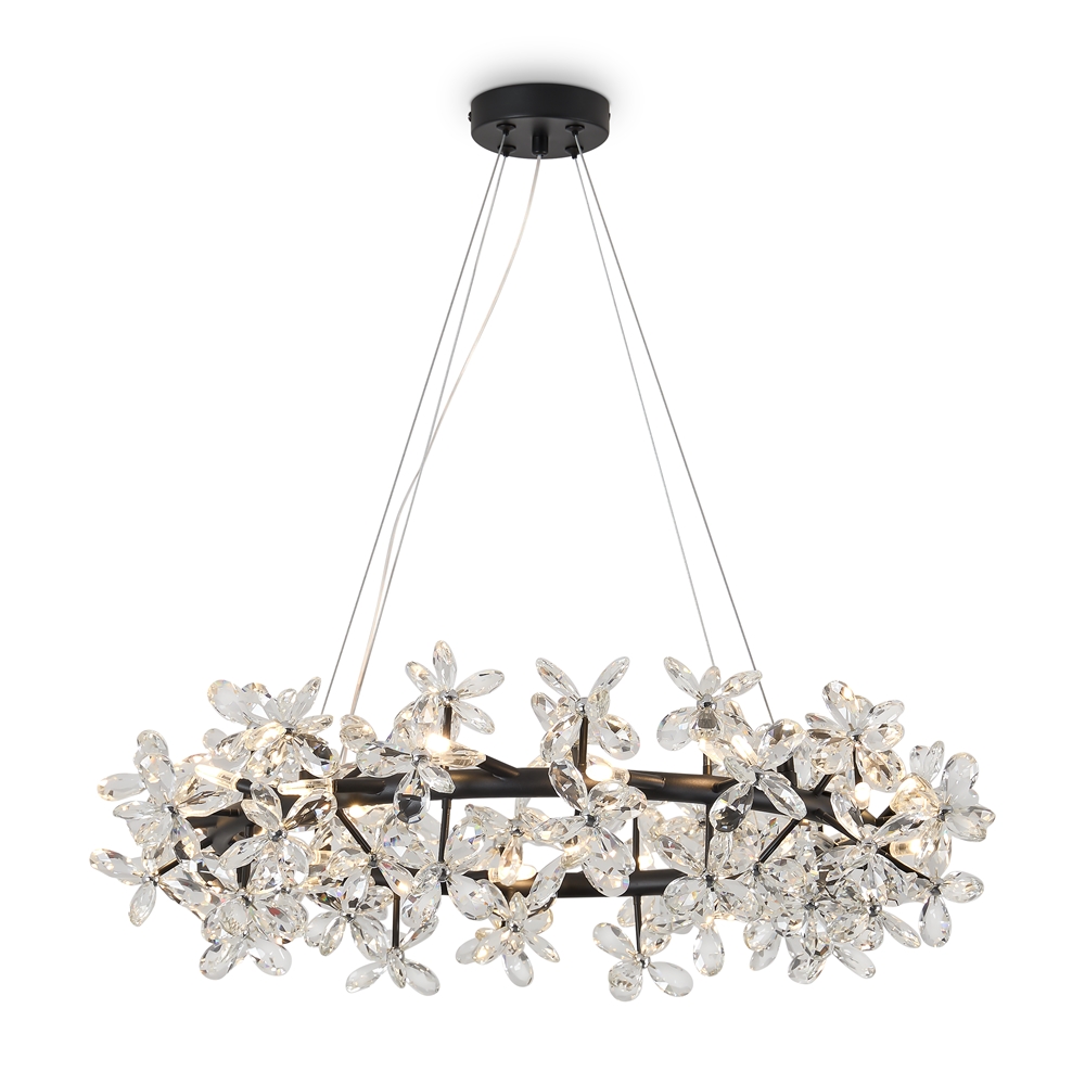 Люстра Freya FR5499PL-24B G4