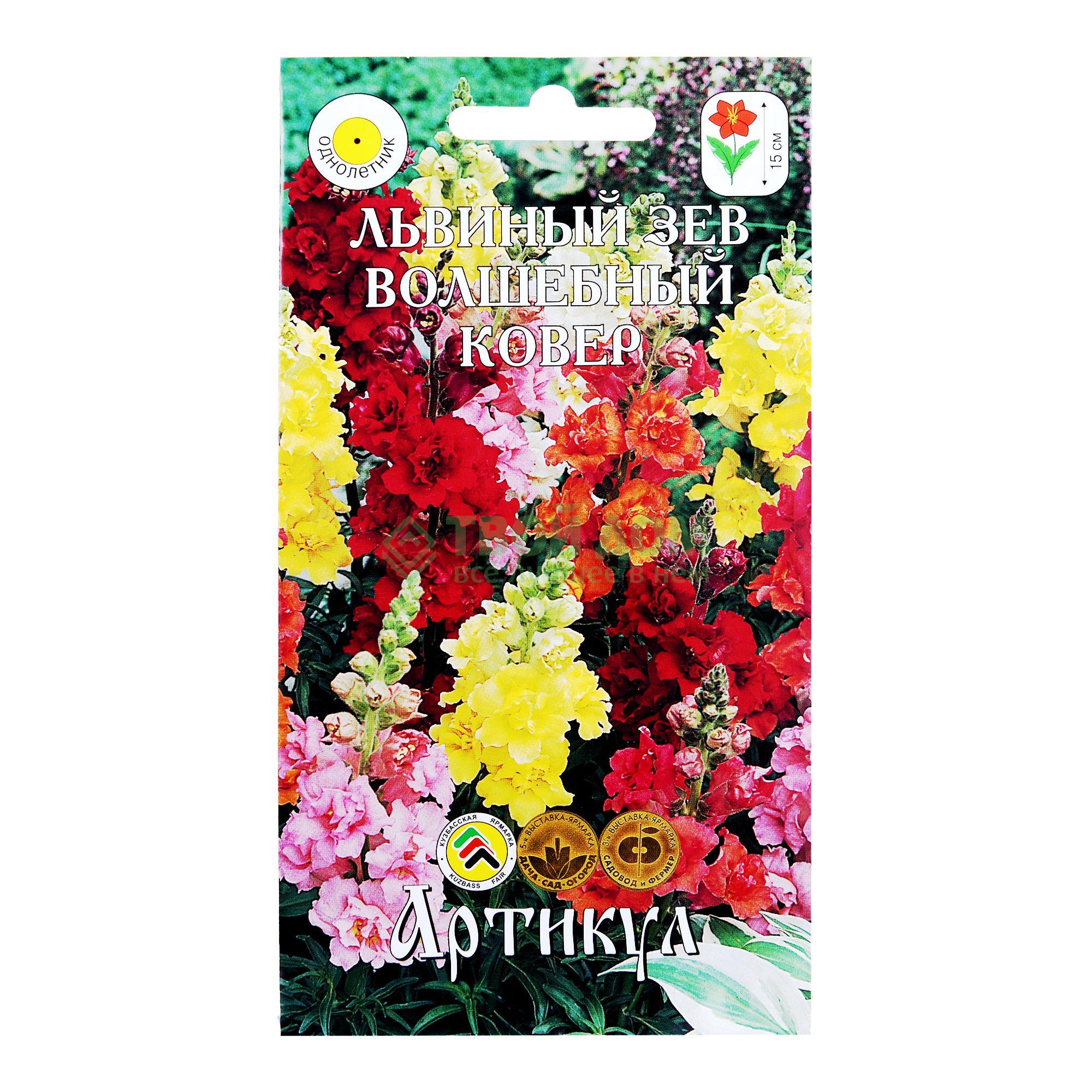 

Артикул Львиный зев Мэджик Капет