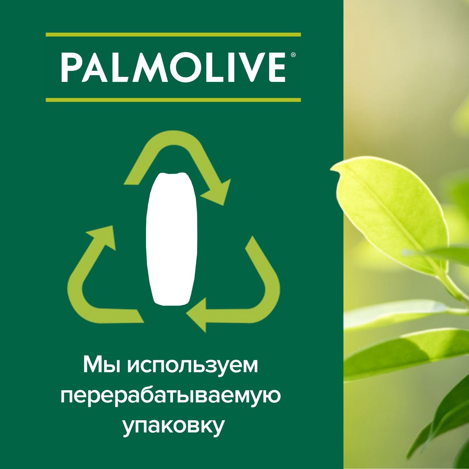 фото Крем-гель для душа palmolive натурель интенсивное увлажнение 250 мл