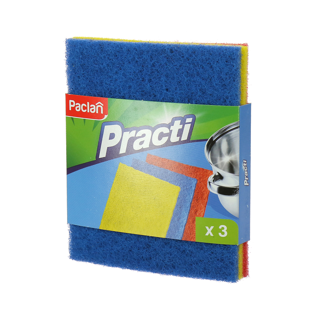 фото Мочалки paclan practi из игольчатого абразива 3 шт