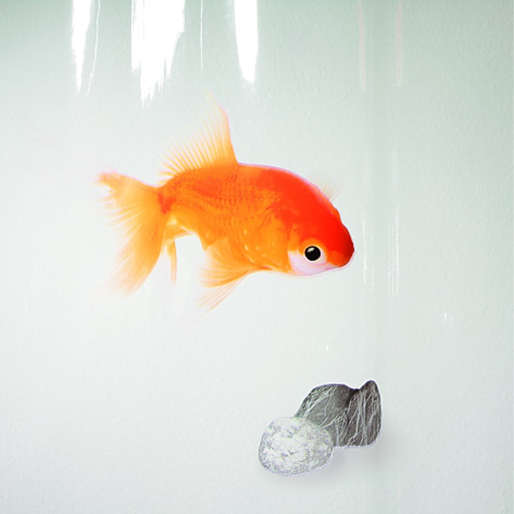 фото Штора для ванной комнаты spirella goldfish 1000097