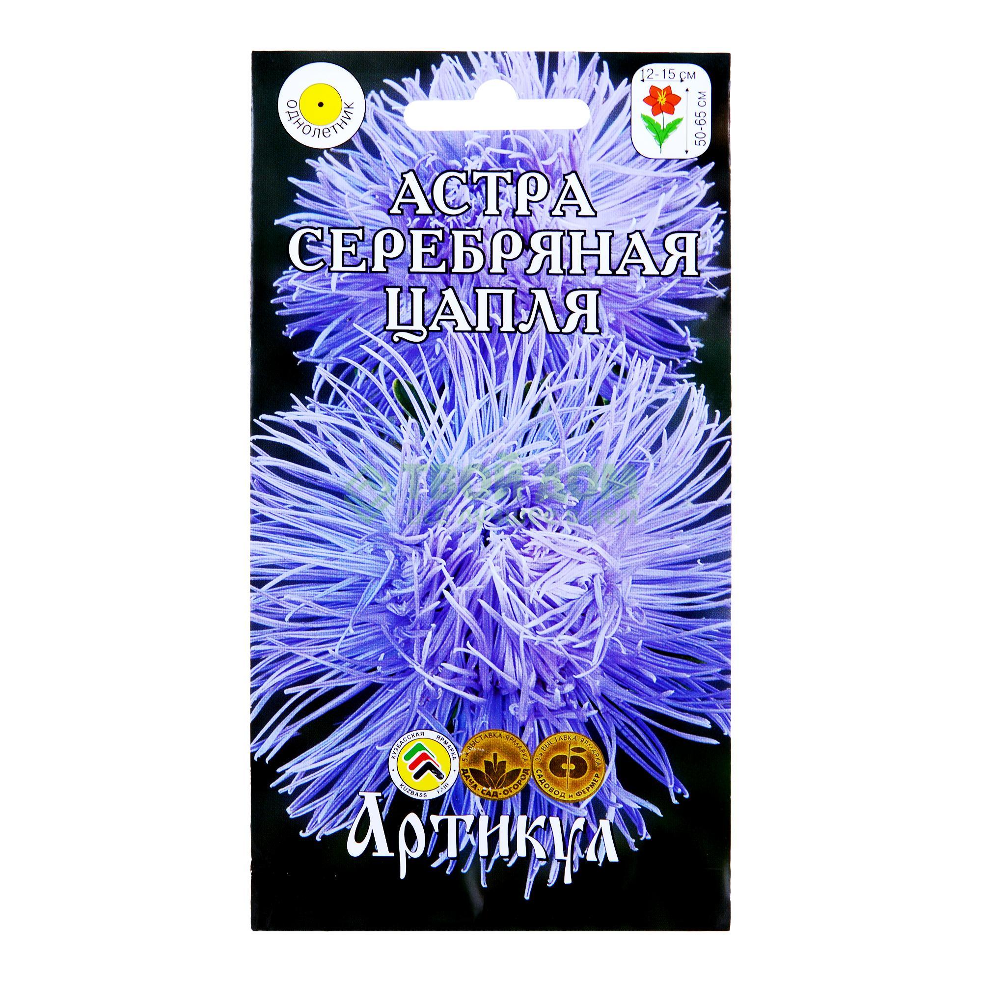 

Артикул Астра Серебряная цапля