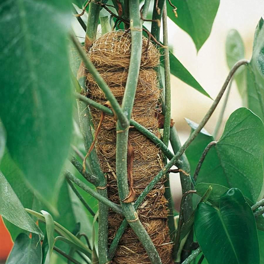 Штанга Verdemax Палка пластиковая мох d32мм 80см, цвет коричневый - фото 2