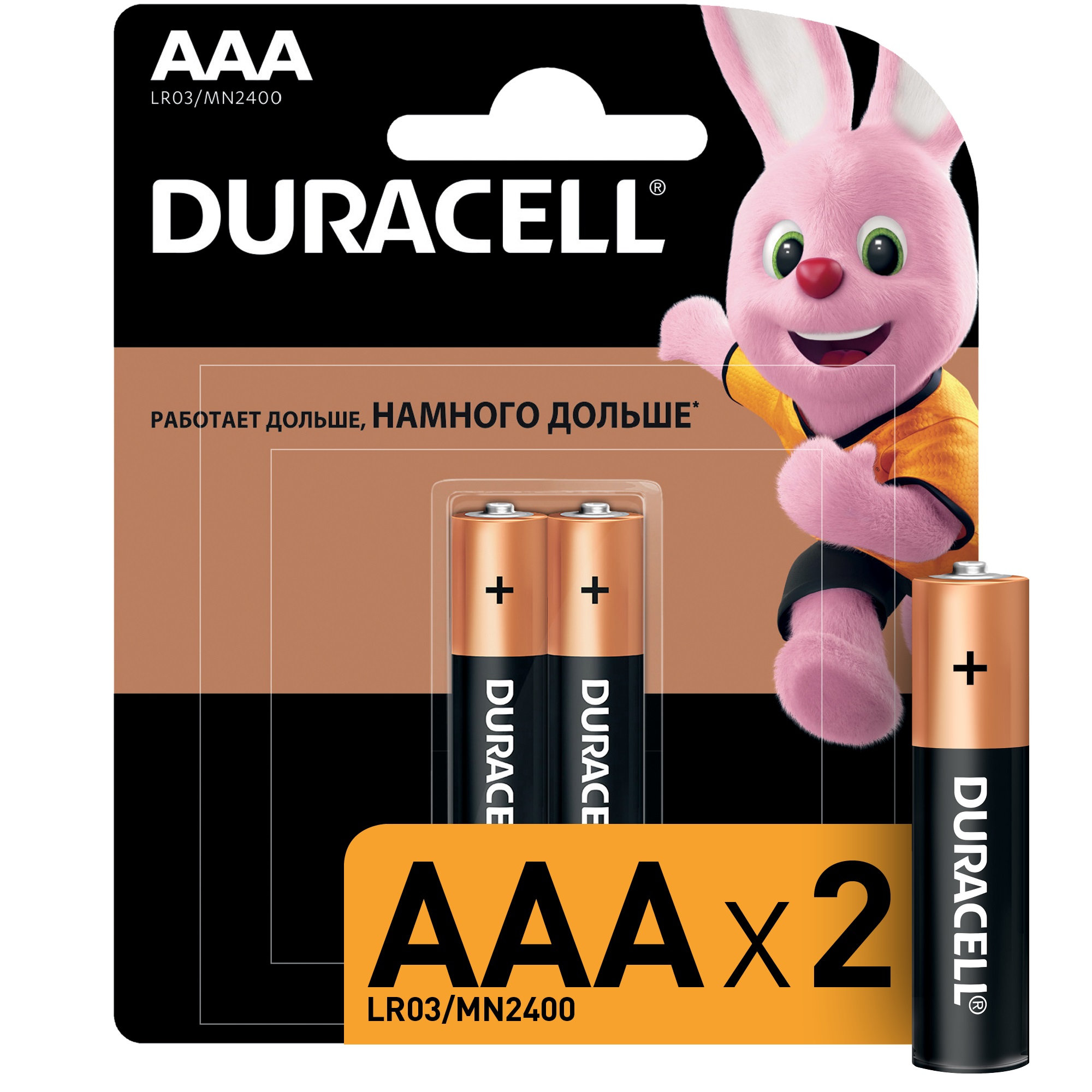 Батарейки Duracell LR03-2BL Basic AAA 2шт