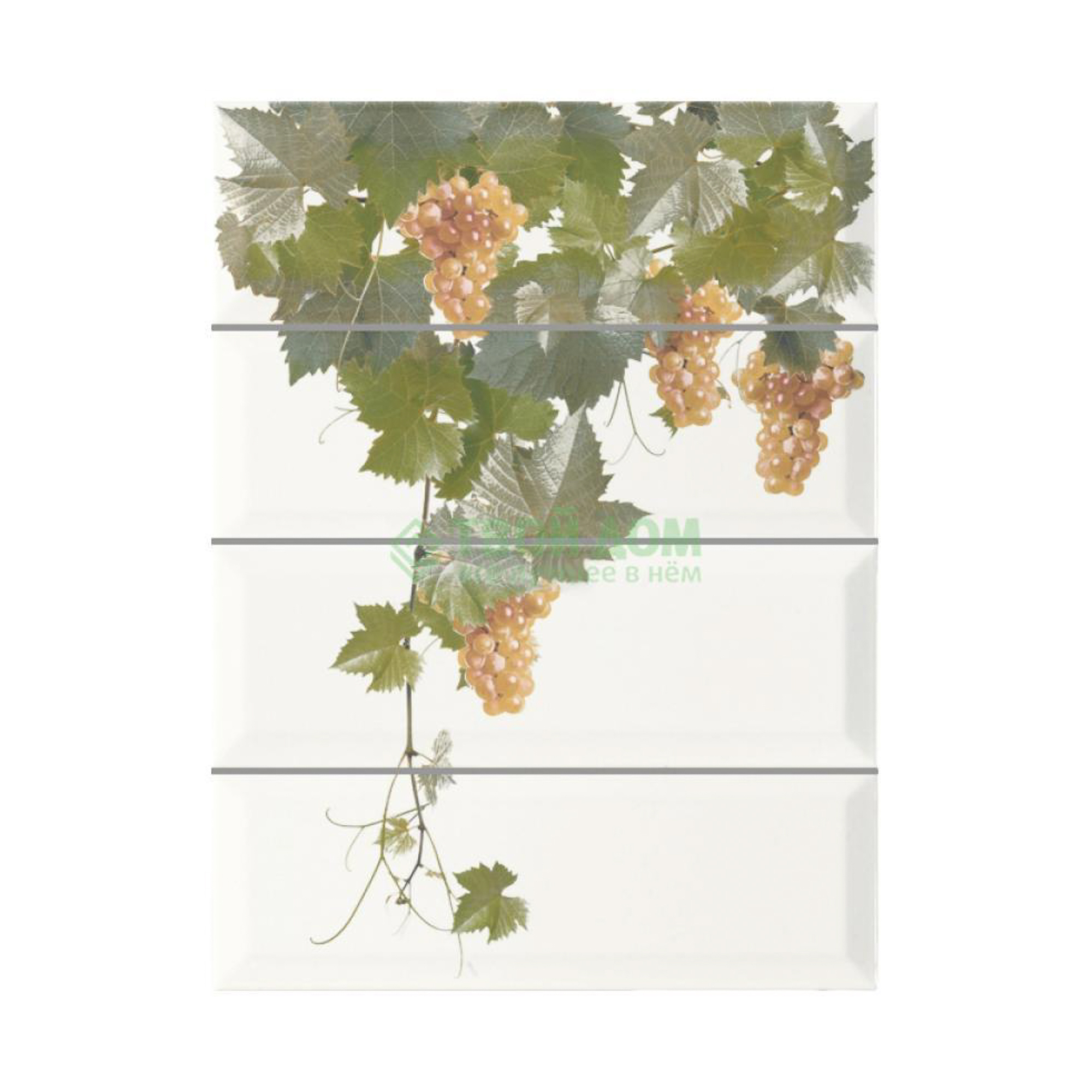 

Monopole Декор moscatel blanco 1 100X300 мм (MOSCATEL BLANCO 1)