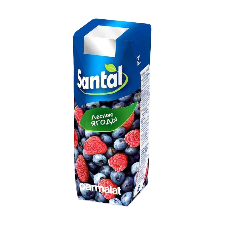 Напиток сокосодержащий Santal лесные ягоды 250 мл напиток сокосодержащий santal лесные ягоды 0 25 л 24 шт