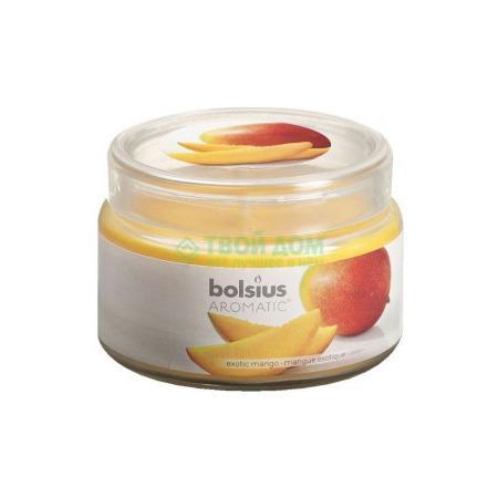 

Свеча Bolsius 63/90 манго