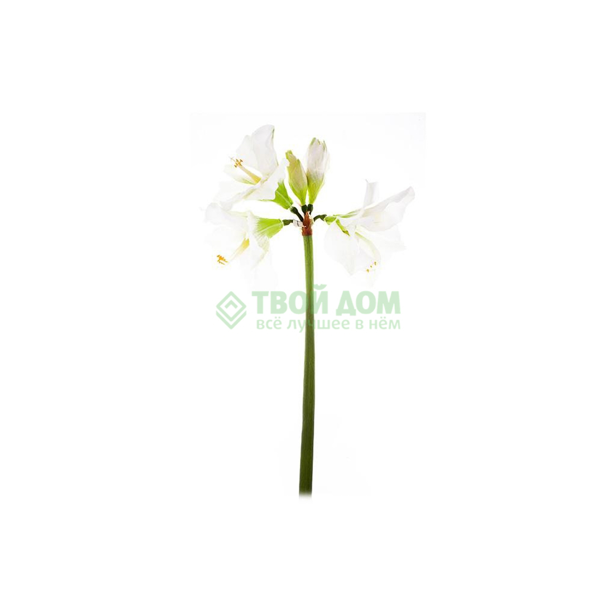 фото Искусственный цветок shi shi амарилис 98см белый (32684)