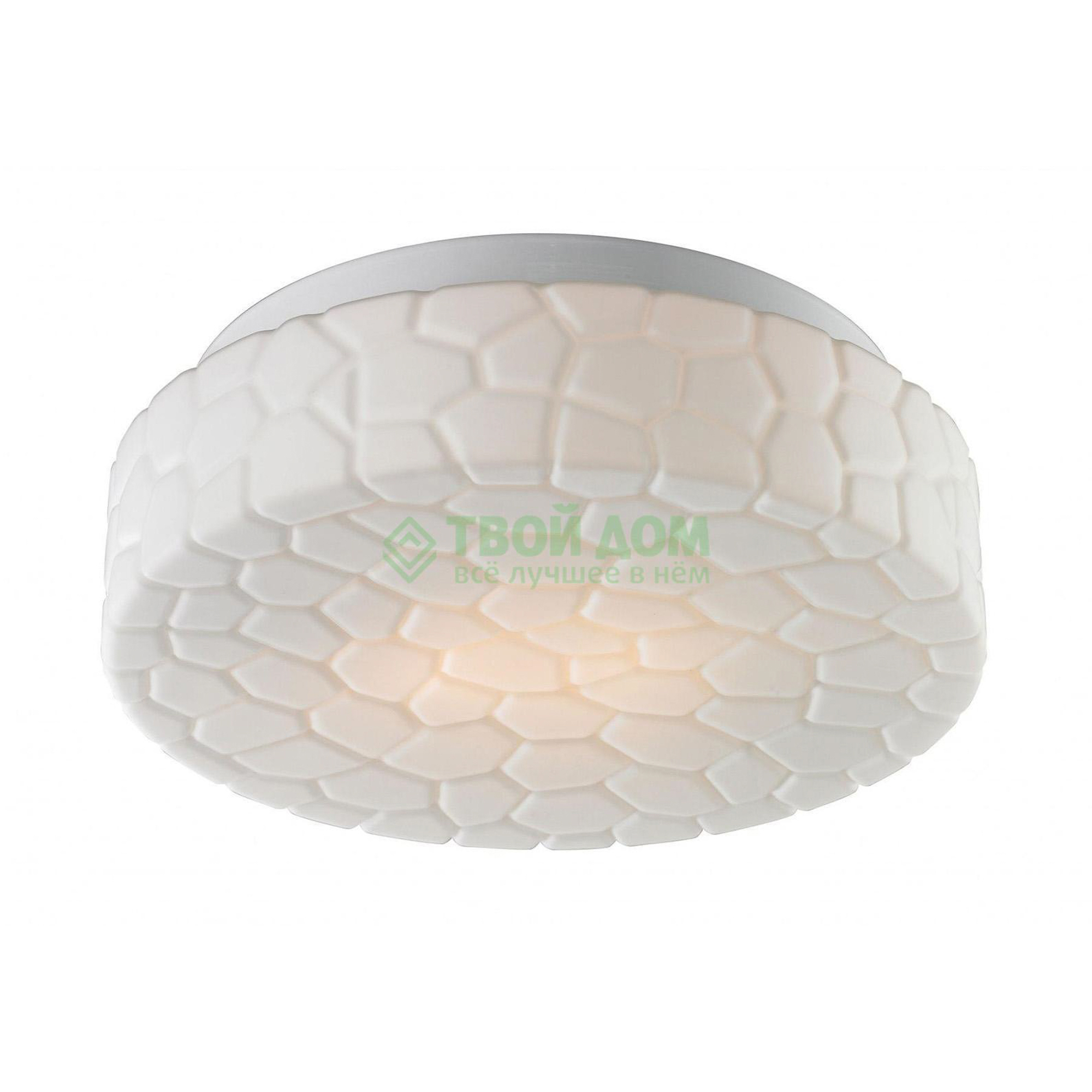 Потолочный светильник Artelamp Aqua A5330PL-2WH, цвет белый - фото 1