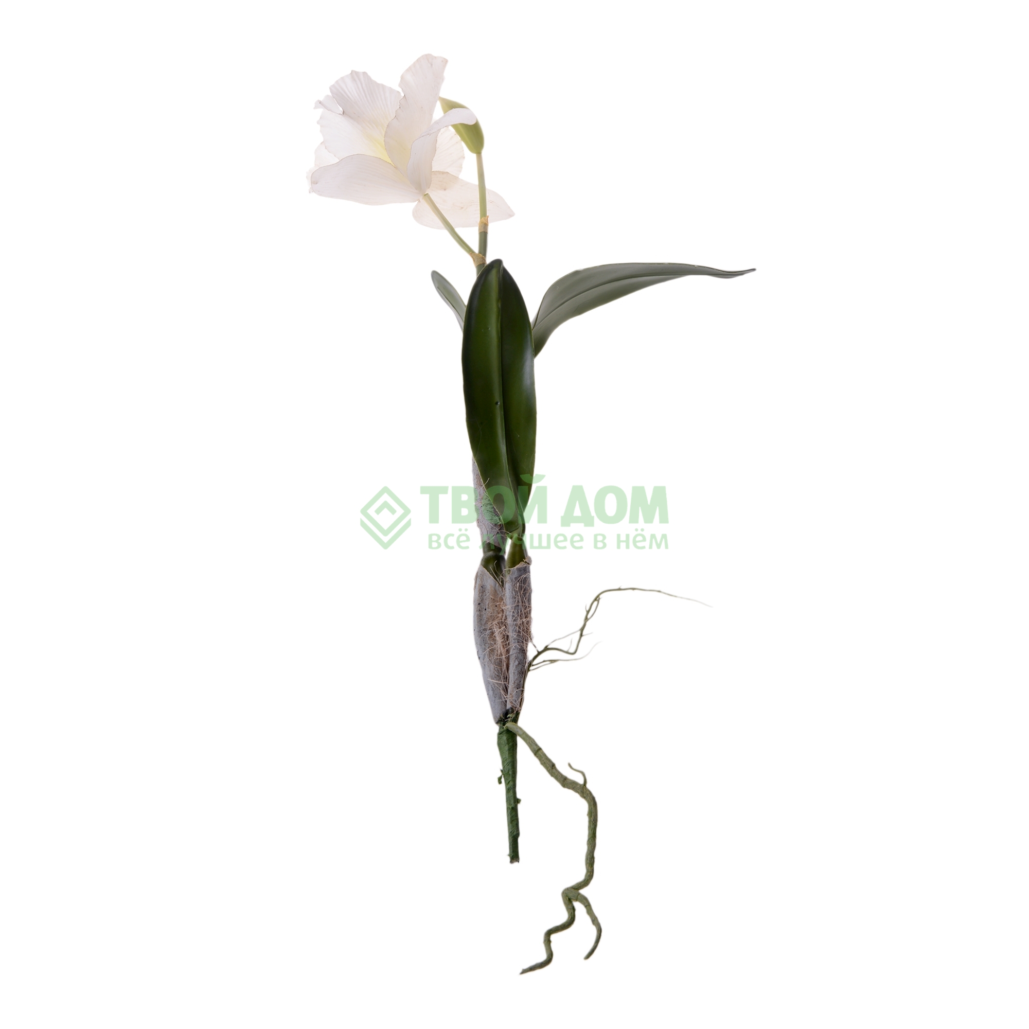

Shi shi Цветок иск орхидея каттлея 60см белая (25773), Белый