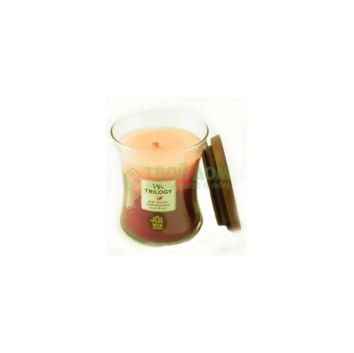 

Свеча WoodWick Таинственный сад 9x11см средняя (92936, Коричневый