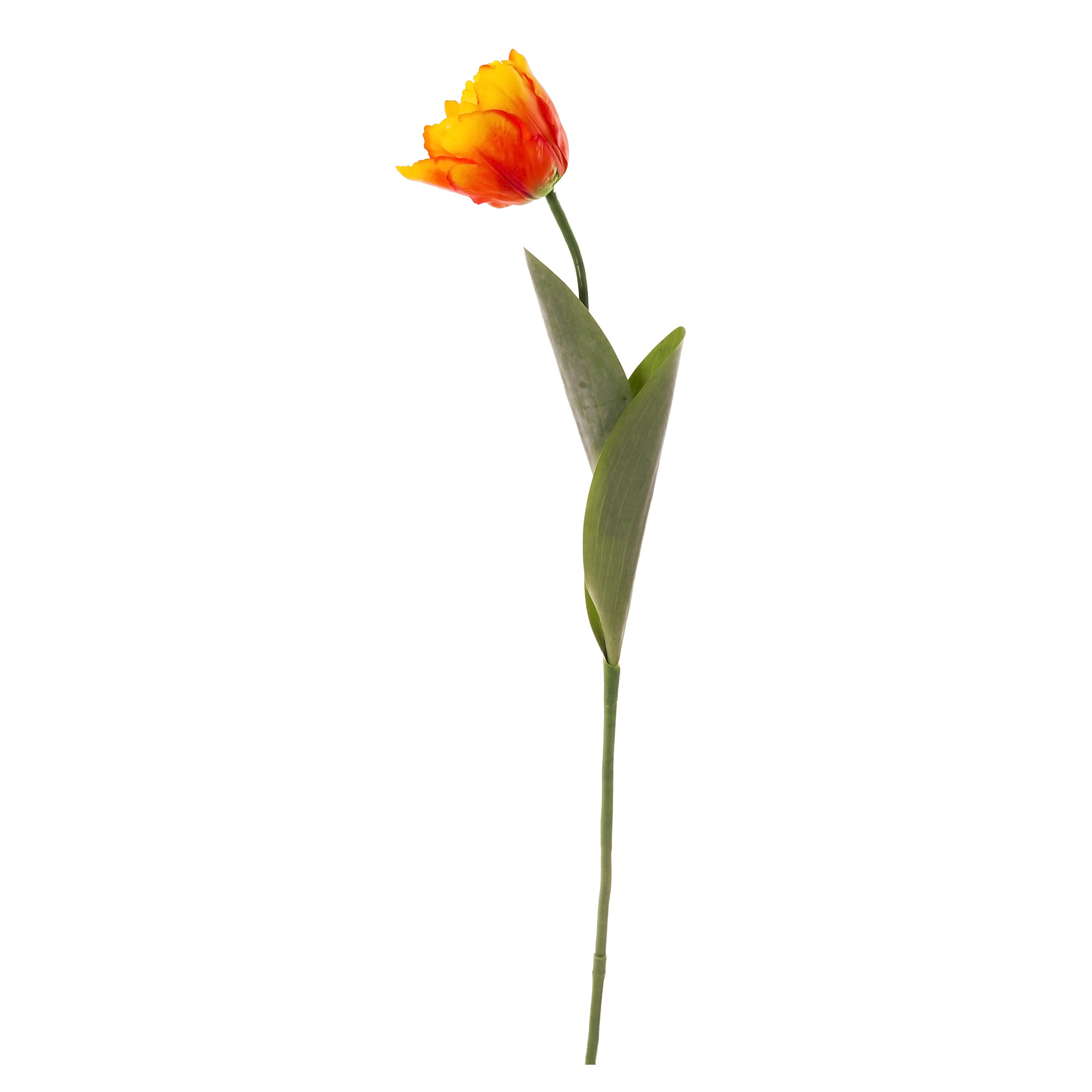 Тюльпан Триумф оранжевый живое прикосновение Топ Арт Студио