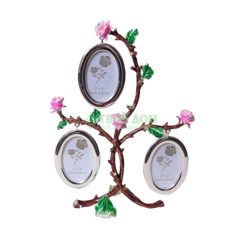 

Фоторамка Platinum (PF10320A), Розовый;серебристый;коричневый