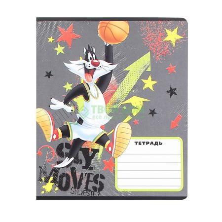 

Тетрадь Looney Tunes SYLVESTER DASKETBALL 28893