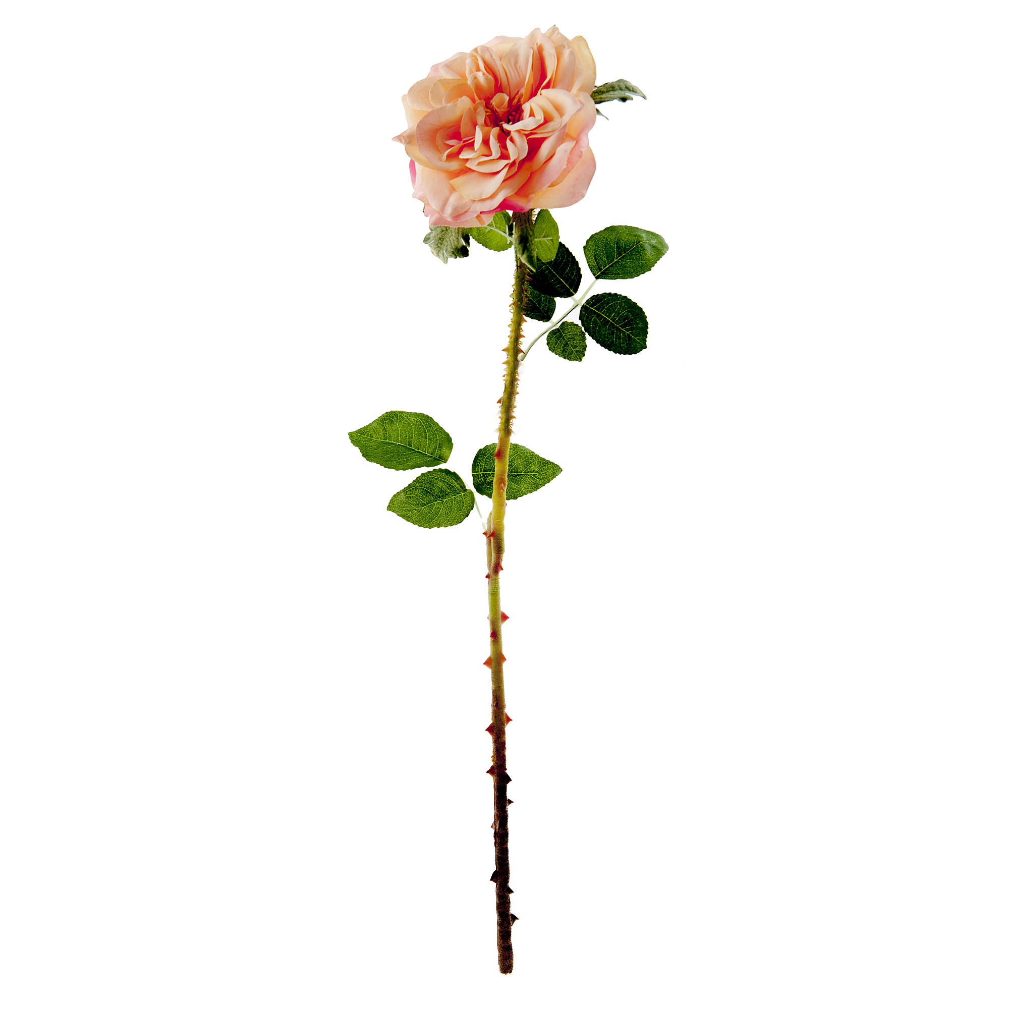 Цветок иск роза персик 55см