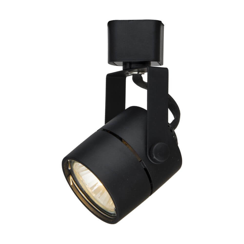 Светильник потолочный Artelamp A1310PL-1BK, цвет черный - фото 2