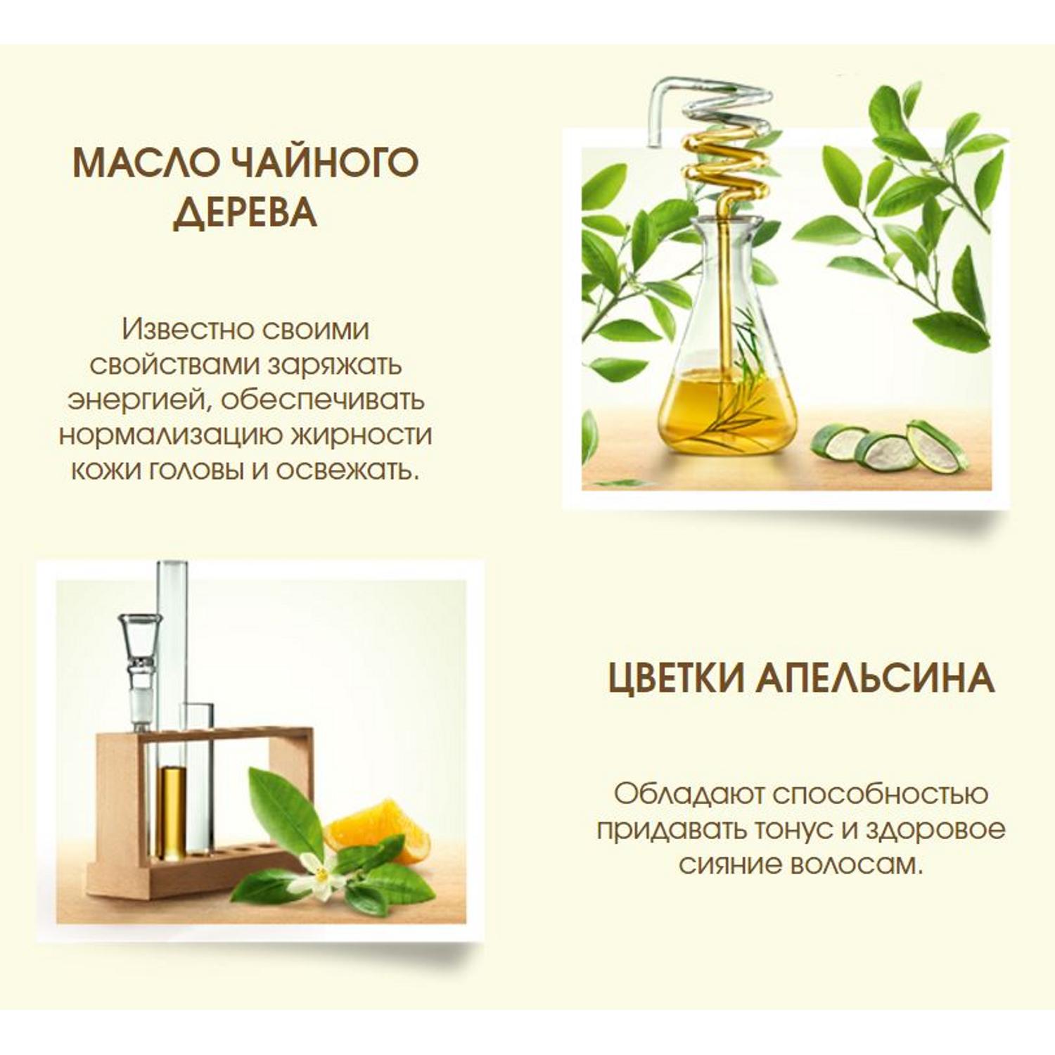 фото Шампунь garnier botanic therapy масло чайного дерева, цветки апельсина, алоэ вера 400 мл