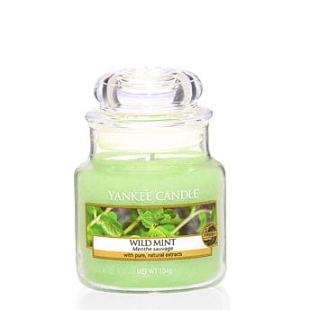 фото Аромасвеча в банке дикая мята 1542820e yankee candle