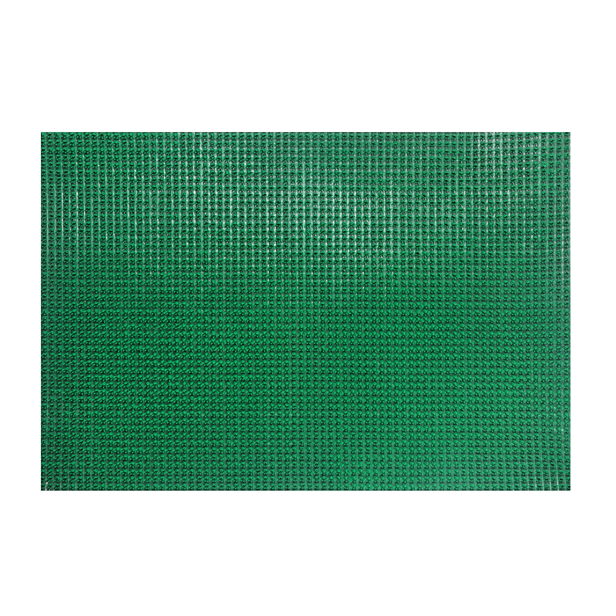 Покрытие ковровое щетинистое In loran в ковриках 60x90 зеленый