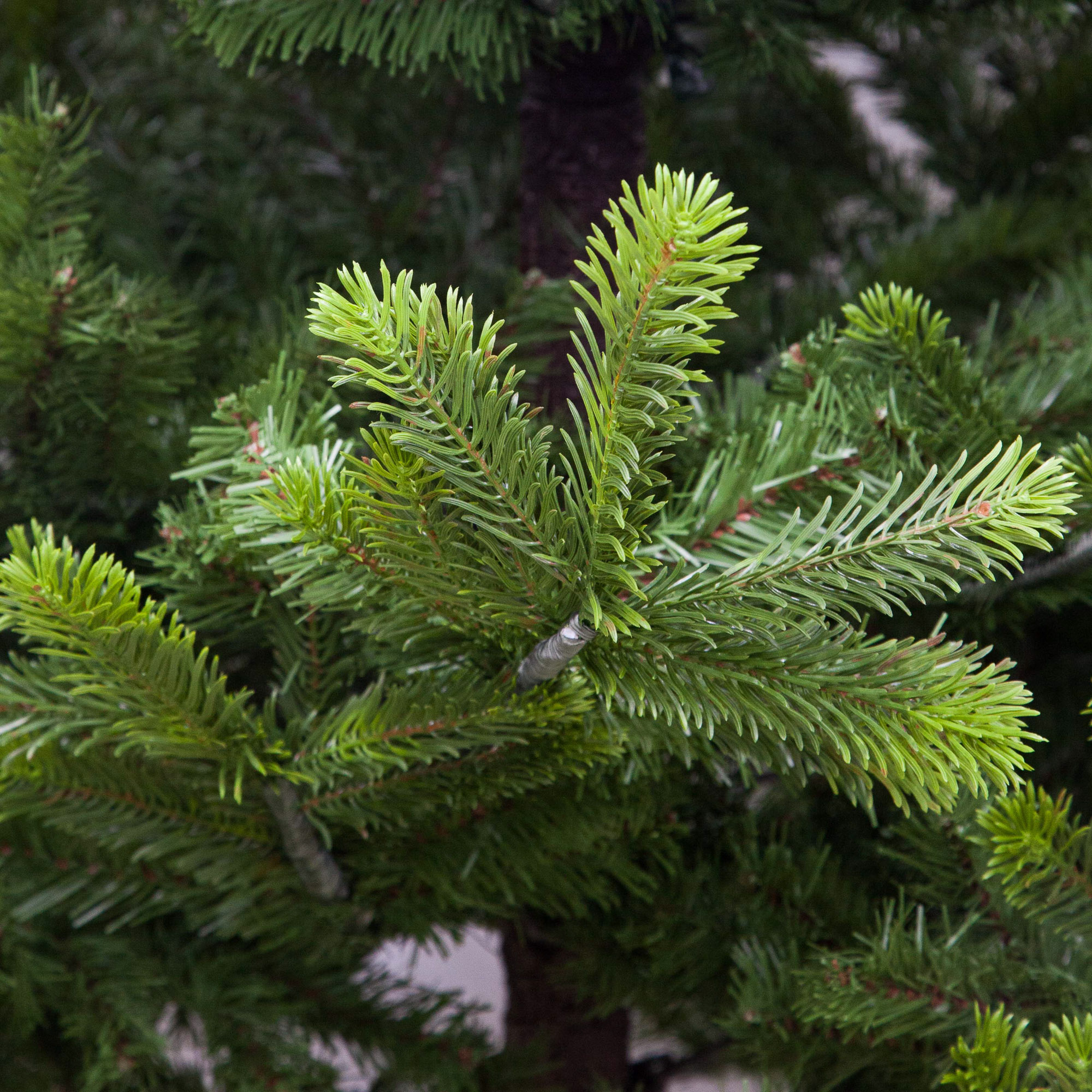 Ель искусственная Puleo Cumberland Spruce 225 см (114-CUMG-75), цвет зеленый - фото 2
