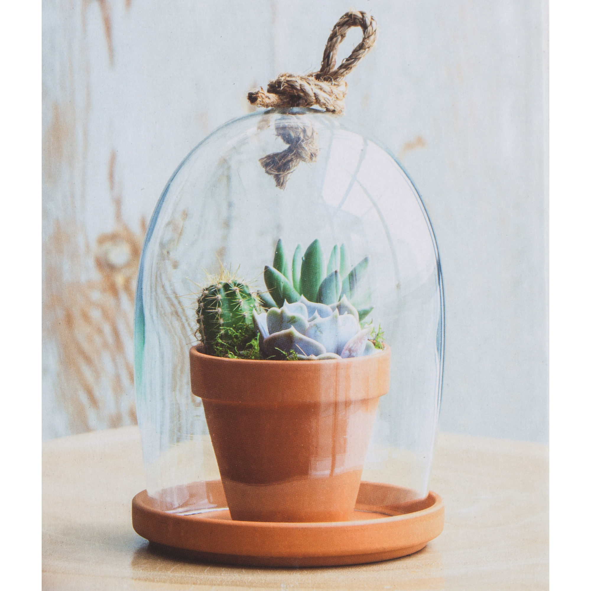 

Кашпо gyda 1шт под колпаком 24см Edelman flower