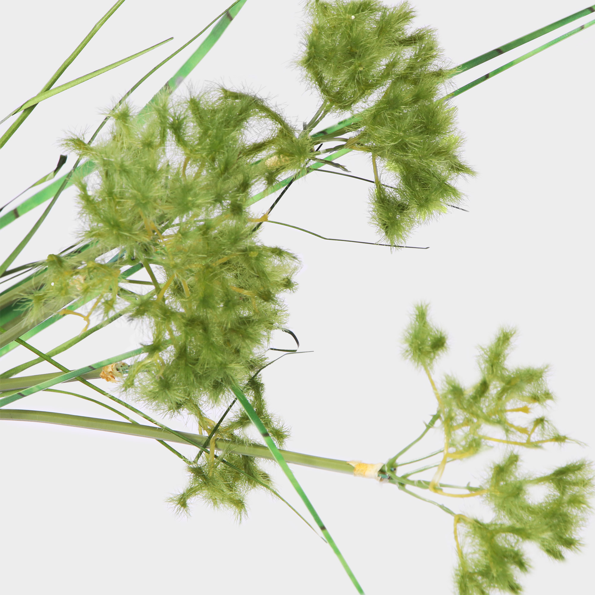 фото Трава искусственная dpi california grass 113 см зеленая