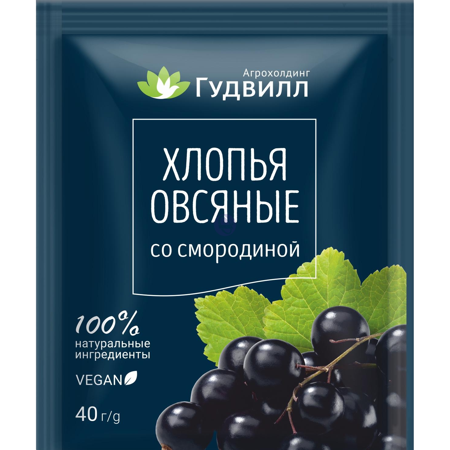 

Каша Гудвилл овсяная со смородиной 40 г