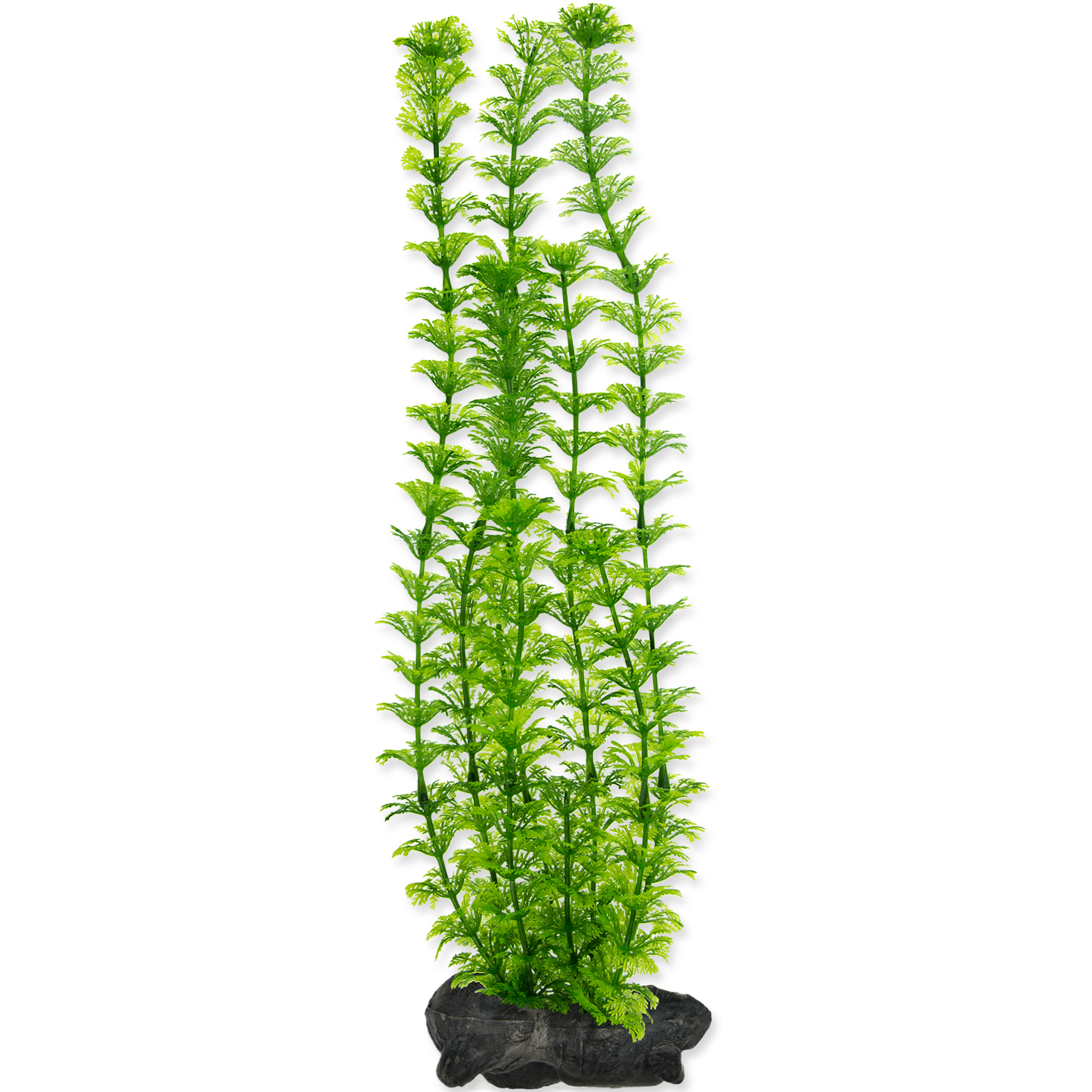 Растение для аквариумов Tetra Deco Art Амбулия L 30 см 270473, цвет зеленый - фото 2