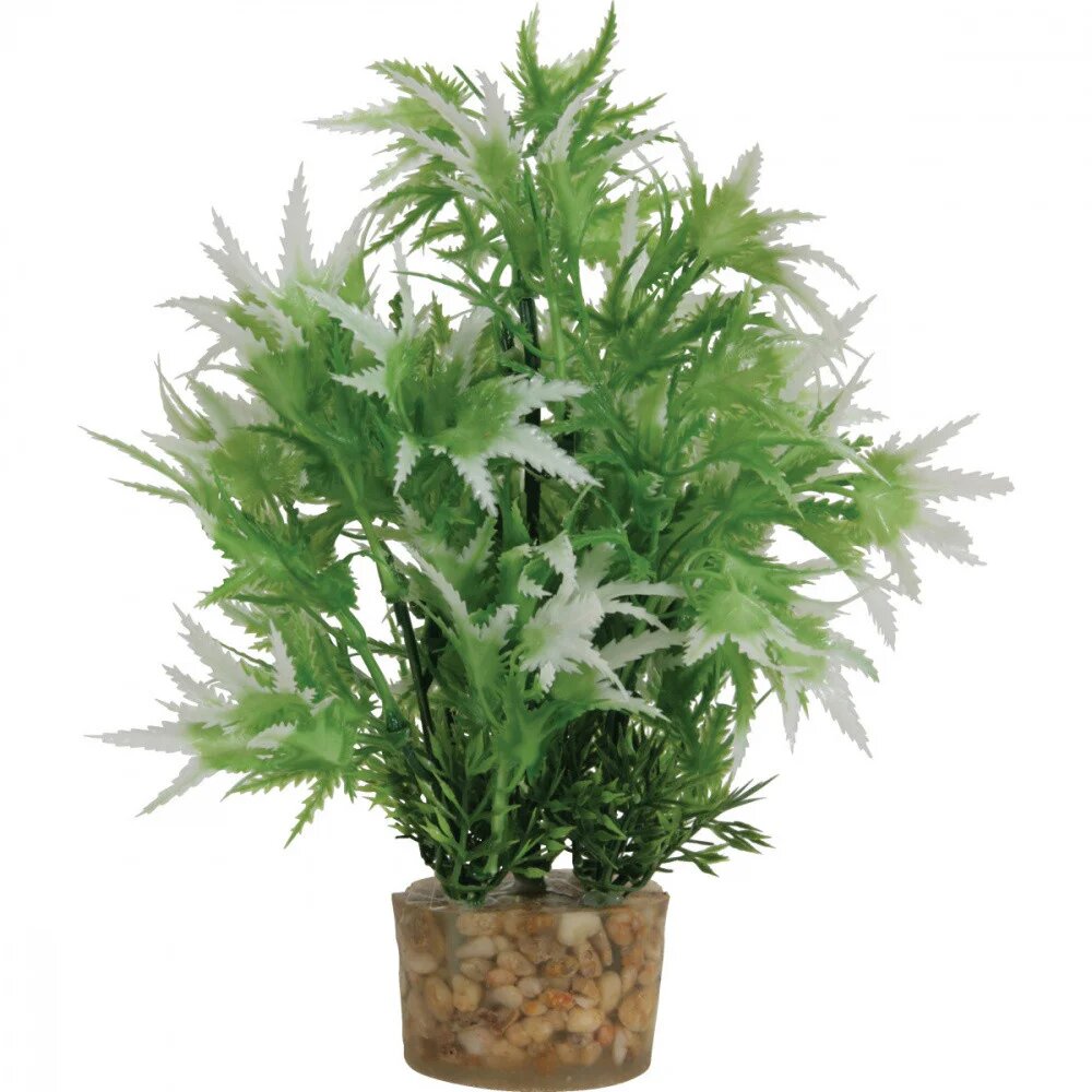Растение для аквариумов Zolux в грунте пластиковое 6x5x20 см M2 353756, цвет зеленый - фото 1