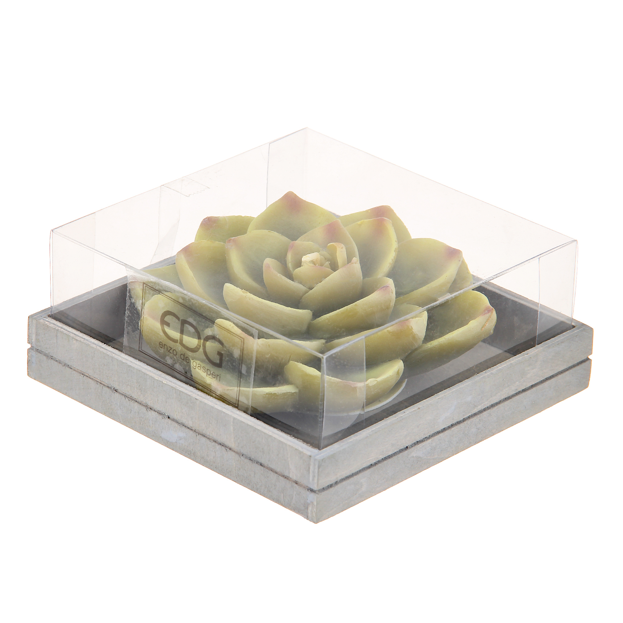 фото Свеча edg succulent 5х13см