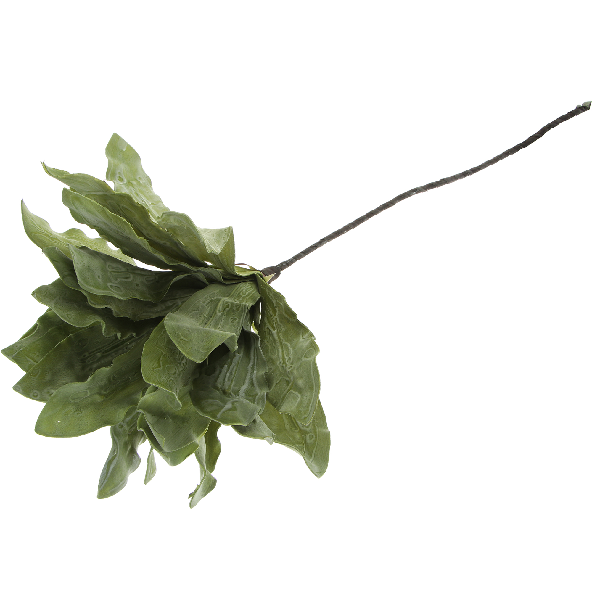 Искусственный цветок Linyi chuangxin экзотический асплениум зелено-фиолетовый 96 см