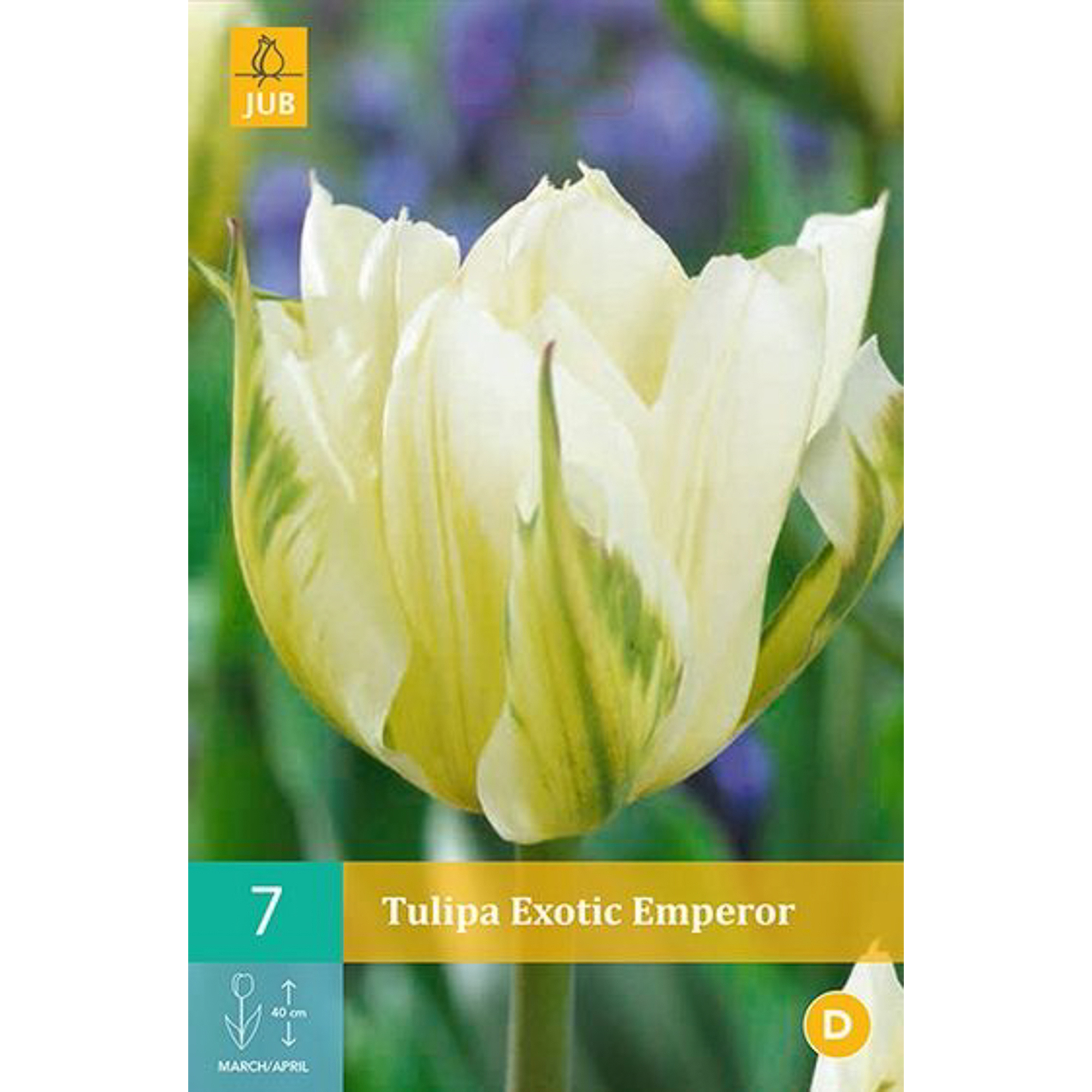 Тюльпан jub exotic Emperor New