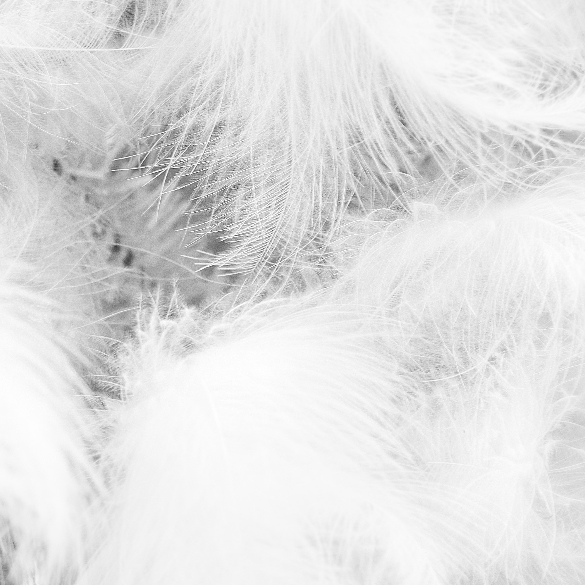 Елка Царь-елка перышко 198 см, цвет белый - фото 4