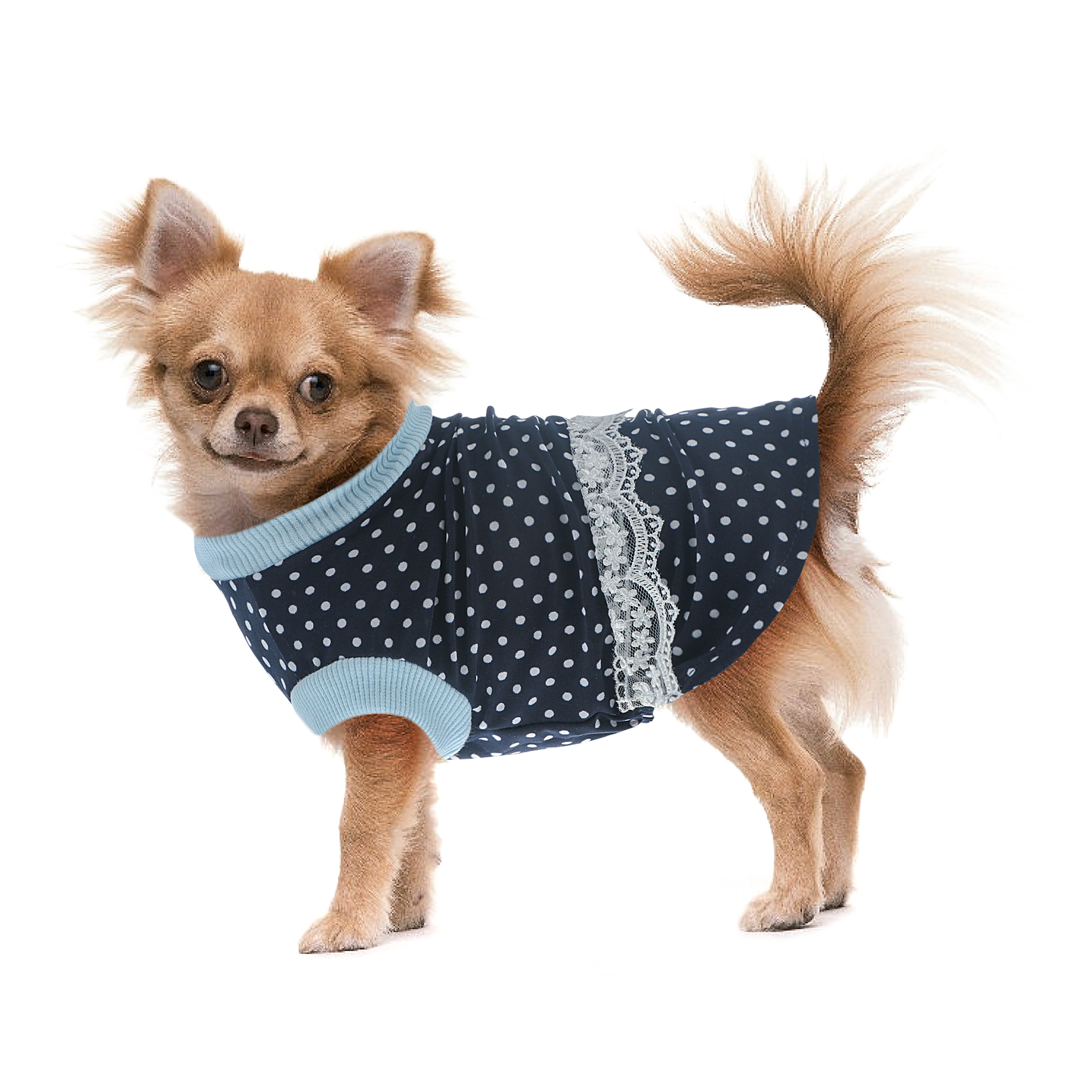 фото Платье для собак happy puppy шатель синий-2 24см