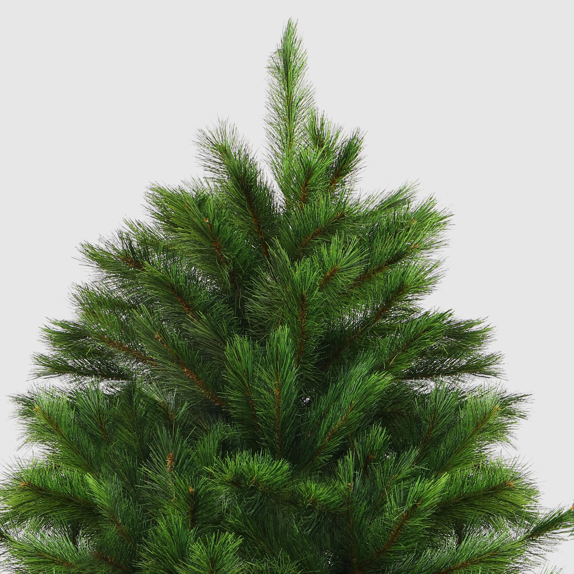 Ель новогодняя Imperial tree richmond 300см, цвет зеленый - фото 3